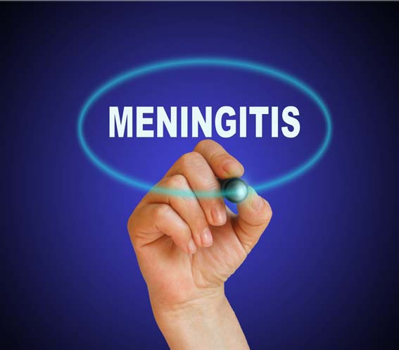Meningitis Facts