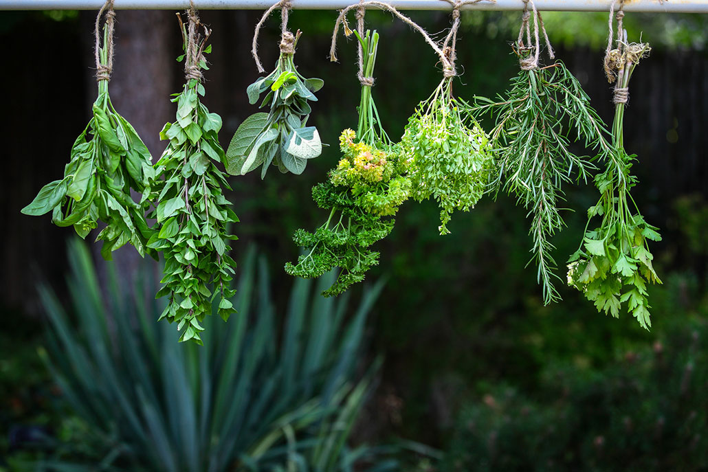 Learn 7 Simple Ways to Get More from Herbs