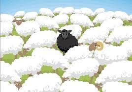 Let’s Talk About Immunization and Herd Immunity