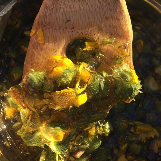 11412399_896425497069857_3916898294343928999_n