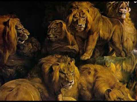 Into The Lion’s Den Speaking Truth to Power