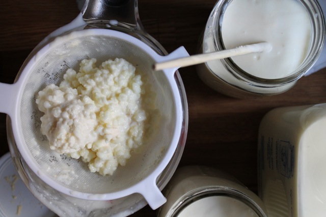 What is Kefir?
