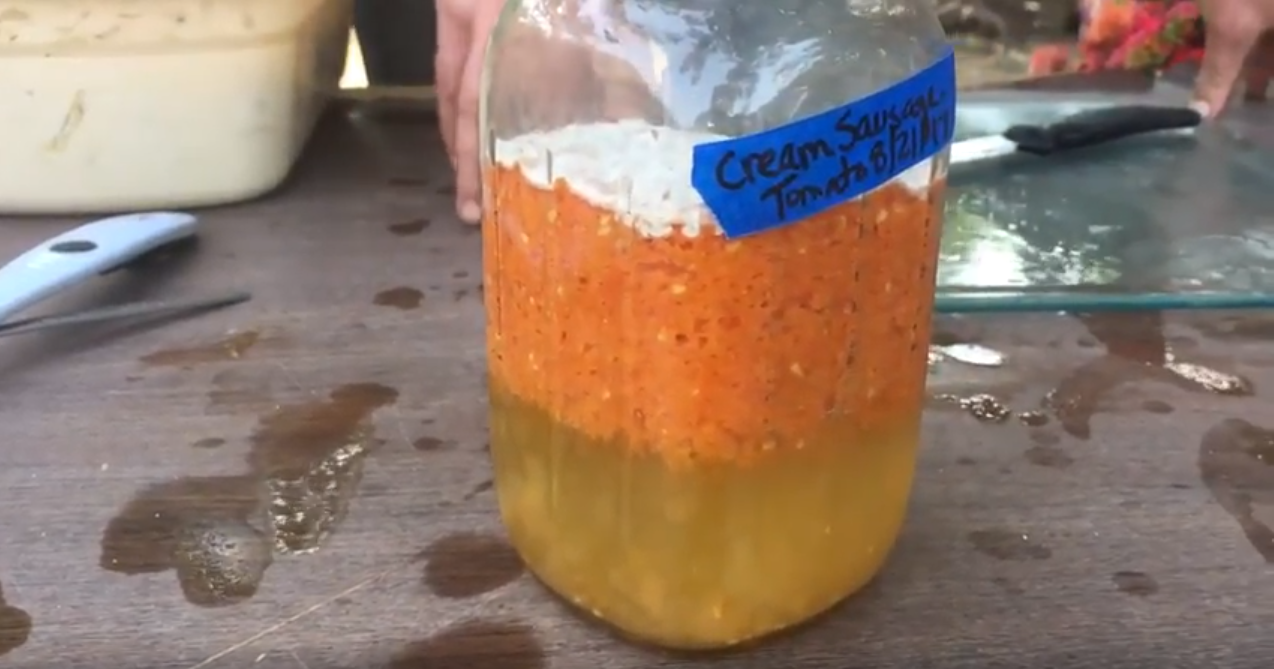 Enjoy your Harvest. Save Your Seeds.