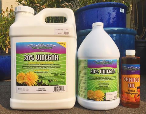 Give Up Round Up Organic Alternative For Sale in Boise