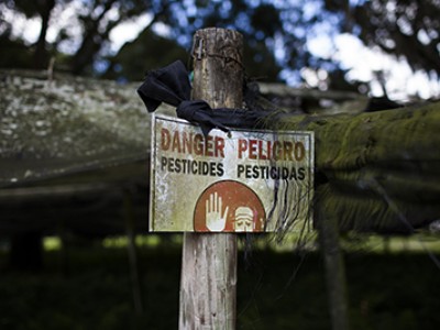 HISTORIC WIN! Hawai‘i enacts first U.S. ban on chlorpyrifos