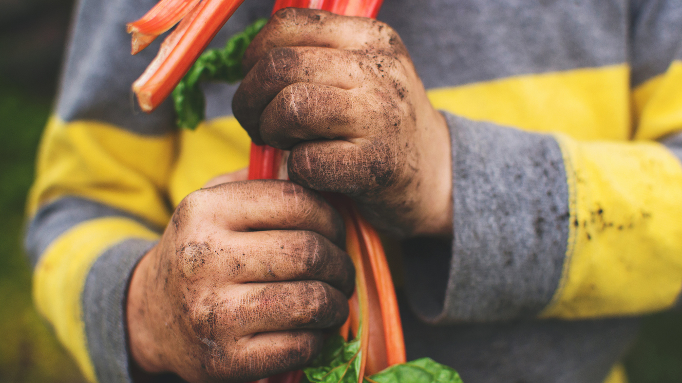 ‘Dirt Is Good’: Why Kids Need Exposure To Germs