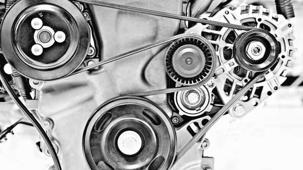 The Immune System Complex and Not Completely Understood