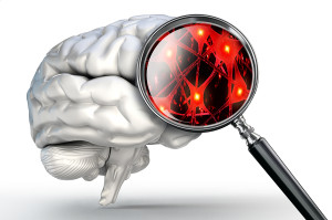 Leaky Gut, Leaky Brain: How Gut Problems Create Brain Problems