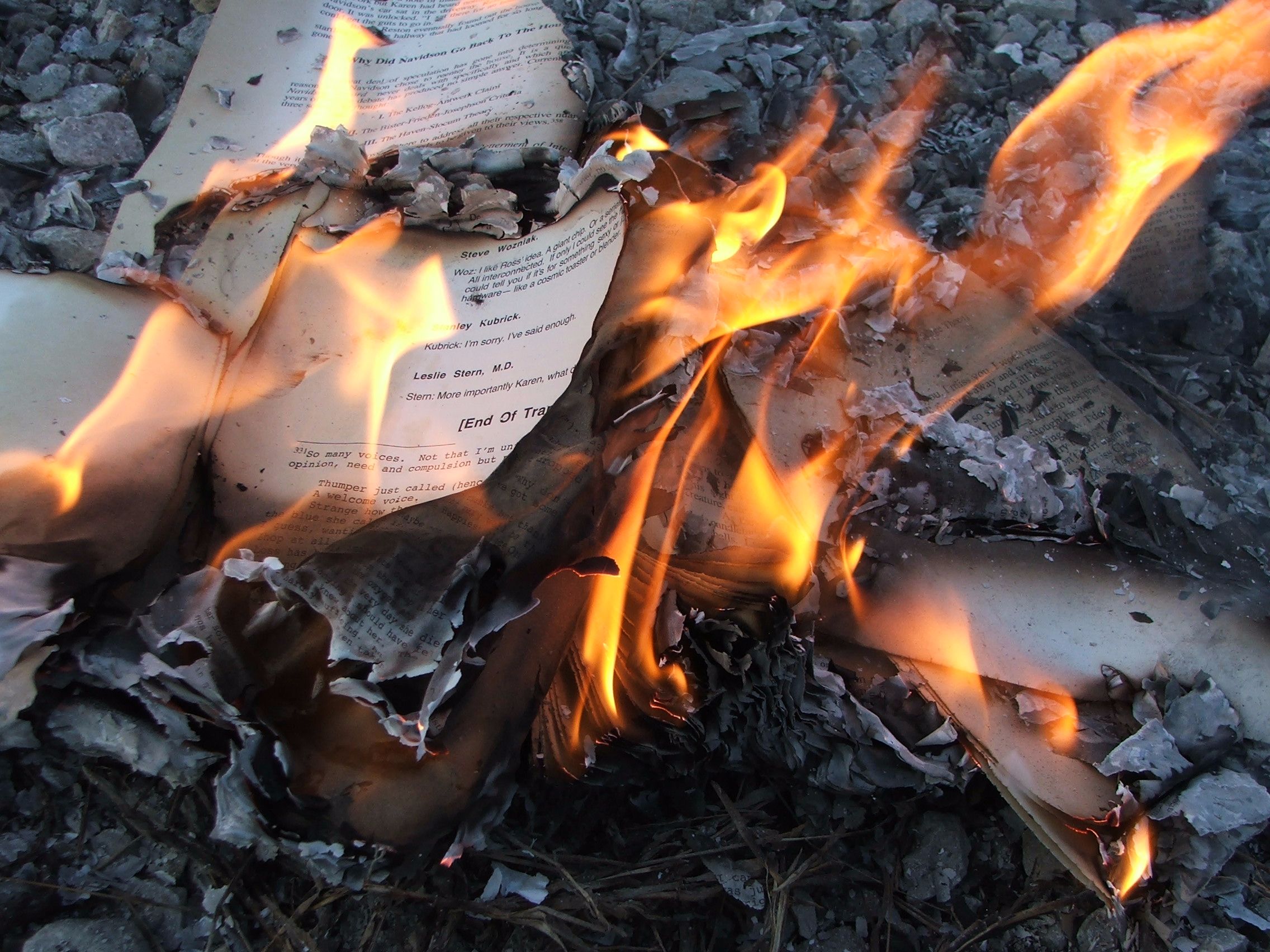 Modern-day book burning by the Internet Gestapo