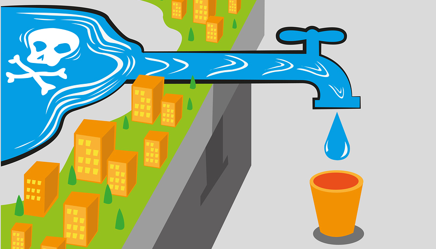 They just voted to be fluoride free!