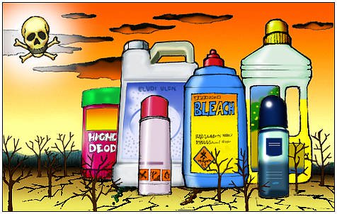 Top 5 Toxins to Eliminate from Your Home