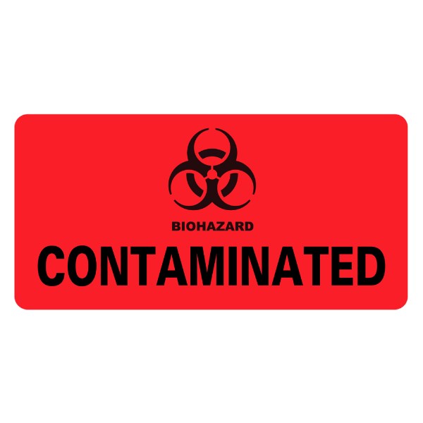 Parasites found in Contaminated Injections