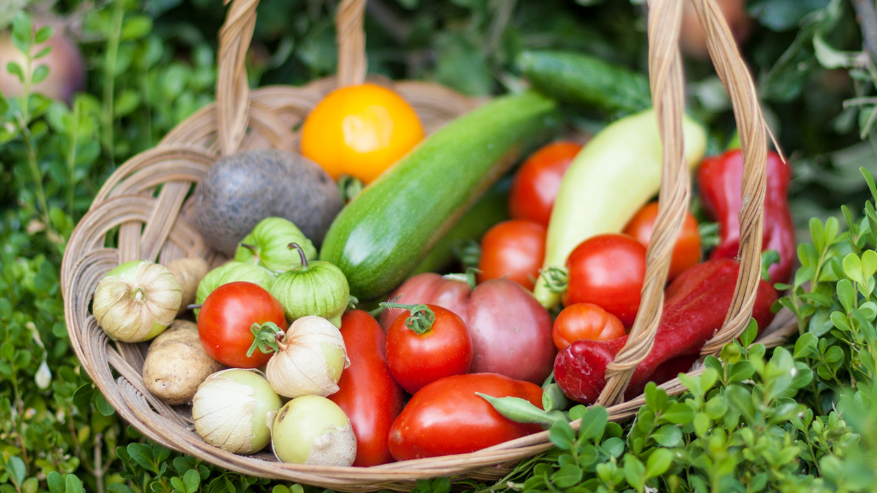 How Does Your Garden Grow?