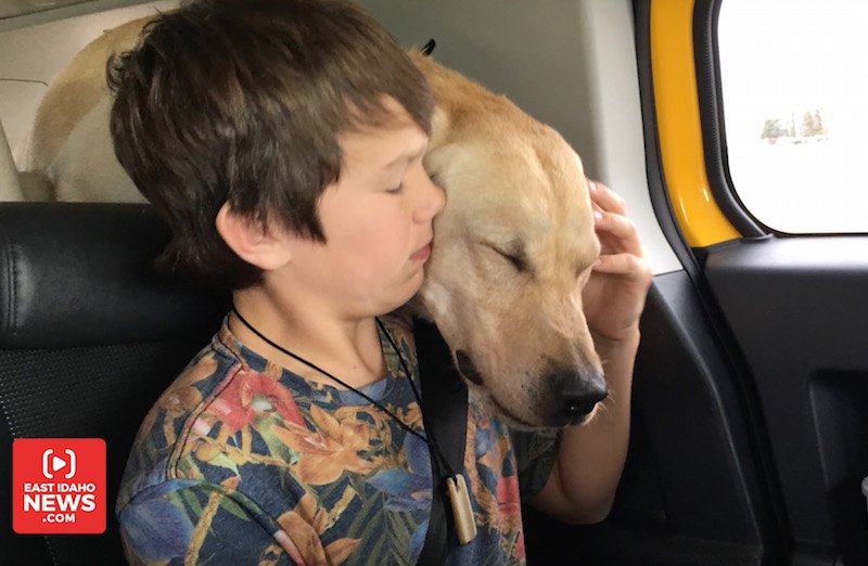 Idaho boy sprayed by cyanide planted by US Department of Agriculture, dog killed