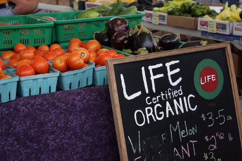 How to avoid the ORGANIC lie.