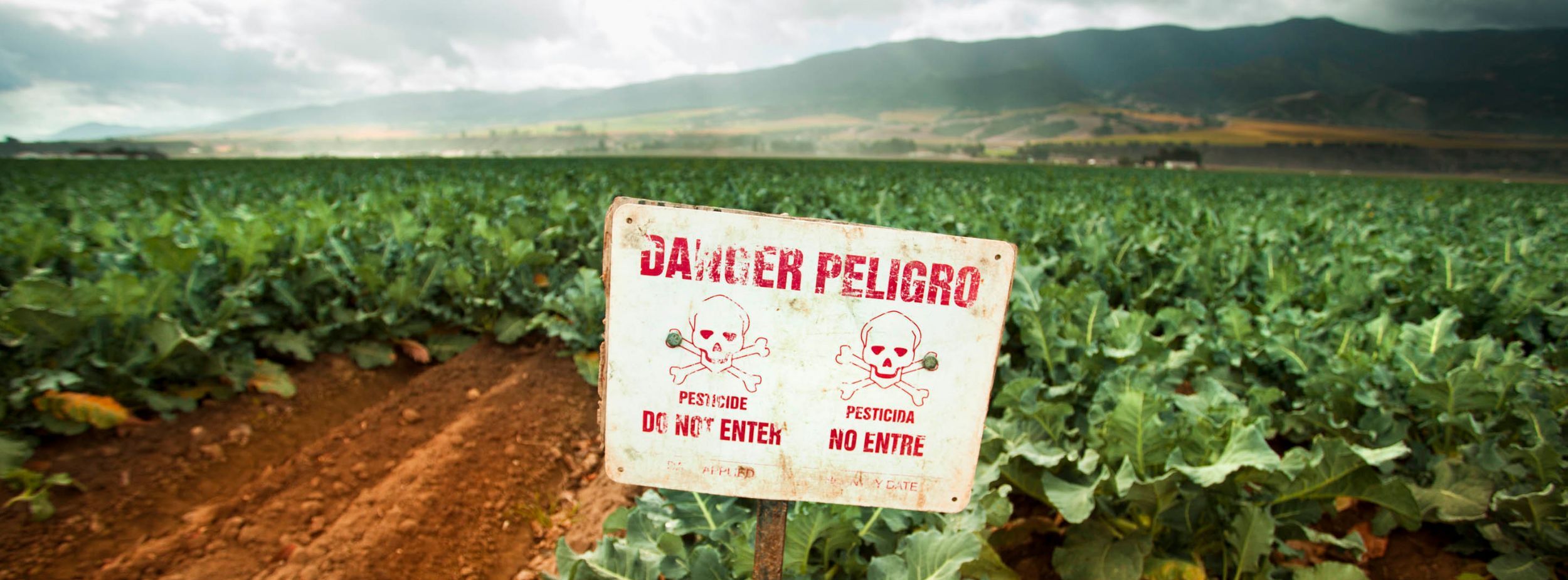 Action Alert: Tell the EPA “NO” more 2,4-D and glyphosate