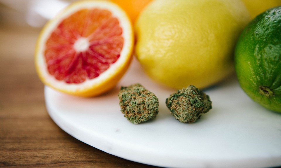 Healing power of terpenes found in medical cannabis