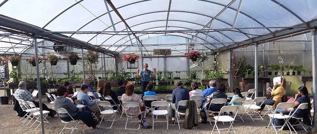 Get Seedy in 2017 COMING in just a few days!