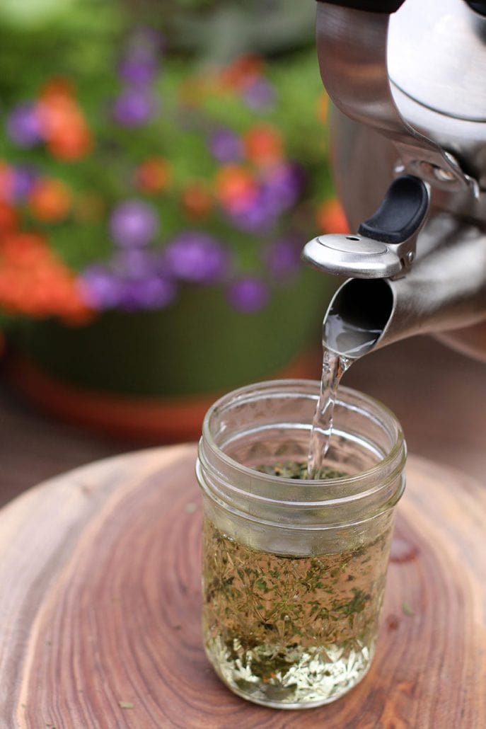 How To Figure Out the Best Herbal Remedies