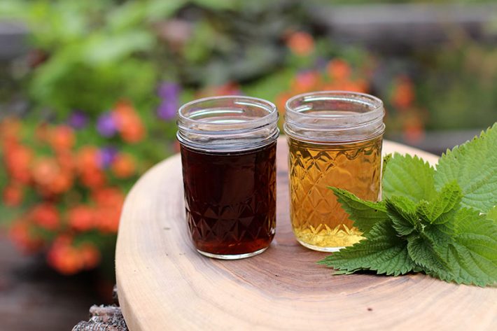 How To Figure Out the Best Herbal Remedies