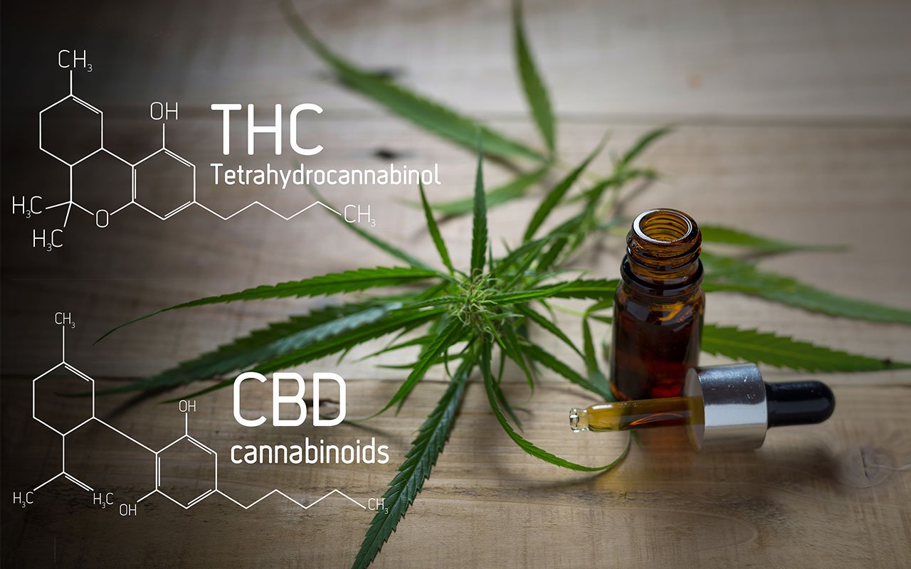 Combination Therapy for  Autoimmune Disease, Cancer and Neuroimmune Disease using Botanical Compositions and Cannabis