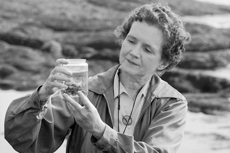 How a courageous woman took on the chemical industry and raised important questions about humankind’s impact on nature.