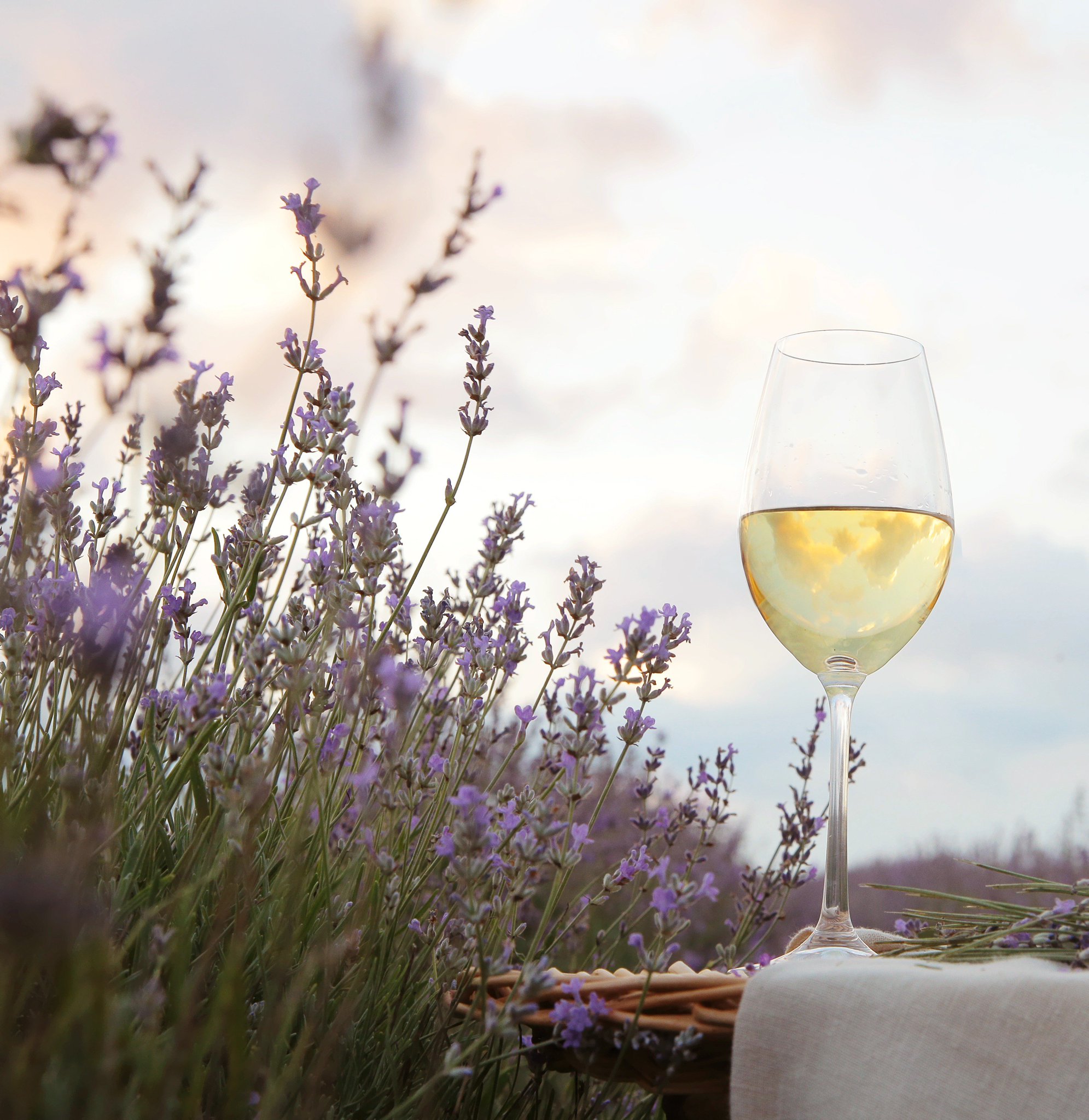 Giveaway: Clean-Crafted Wine Tastings