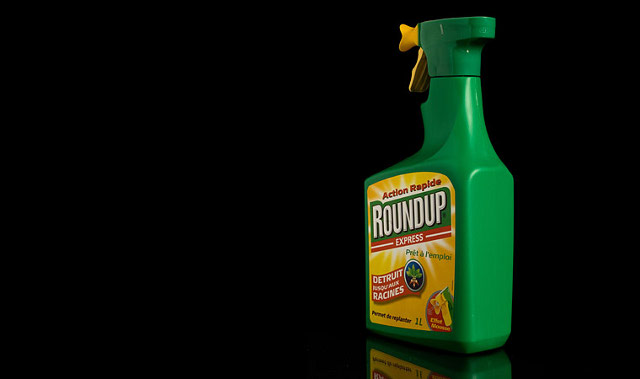 US Food Brands Petition EPA to Ban Pre-Harvest Glyphosate Spraying