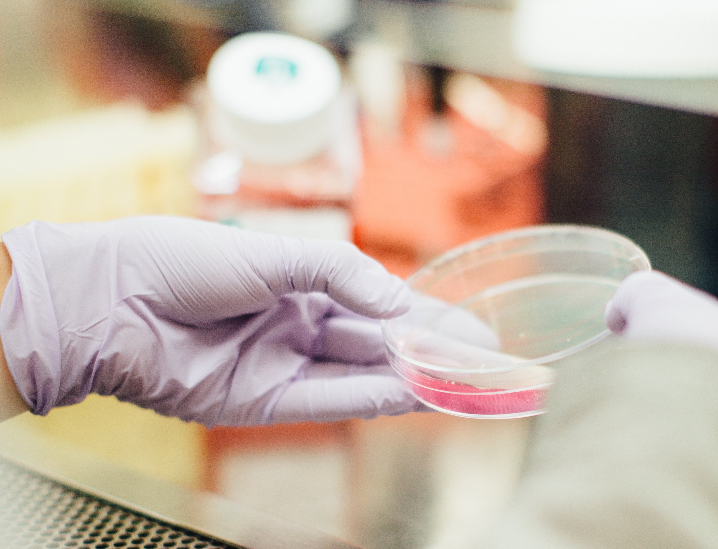 Sample Letter for Religious Vaccine Exemption