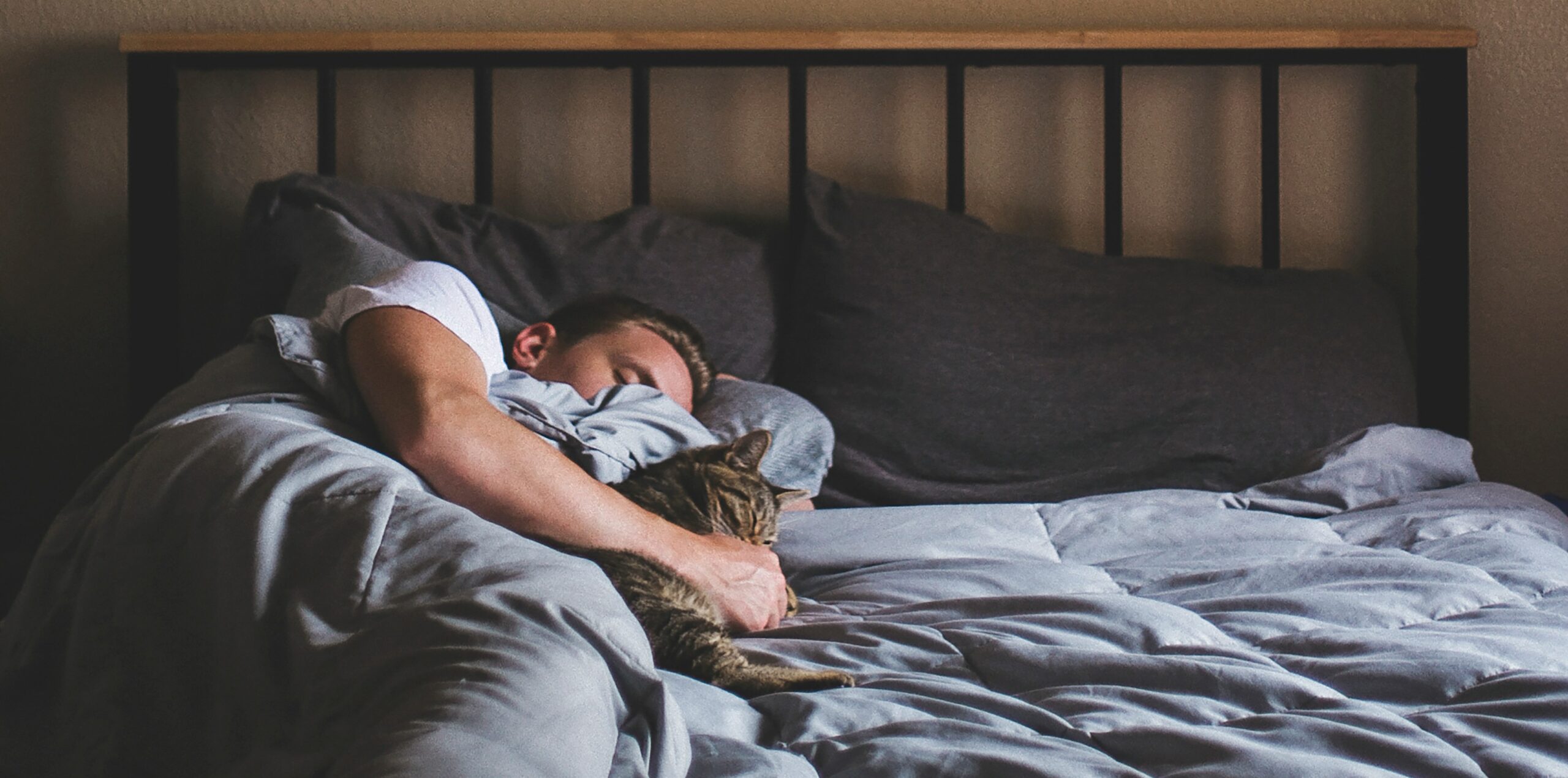 What Happens to Your Body When You Sleep