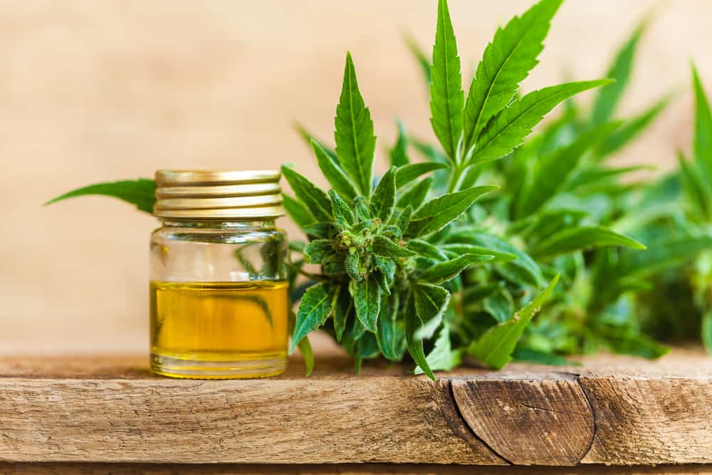 URGENT STOP H122 Preserve Access to CBD and  Hemp Products