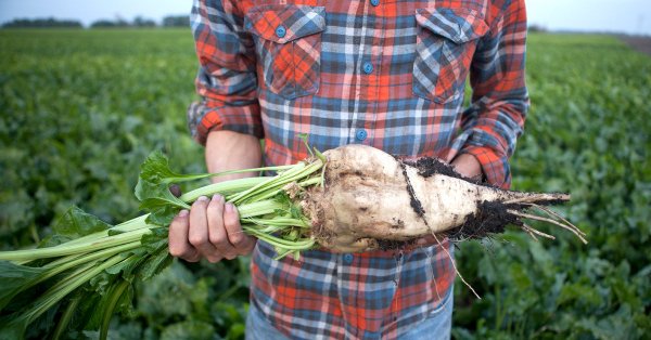 NON-GMO Label and the Power of Your Purchase $$