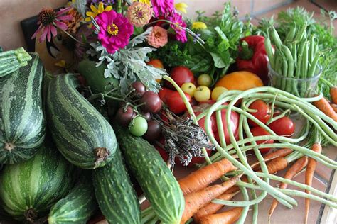 A Cup of Tea For Your Garden. How Compost Tea Could Help You Avoid Chemicals.