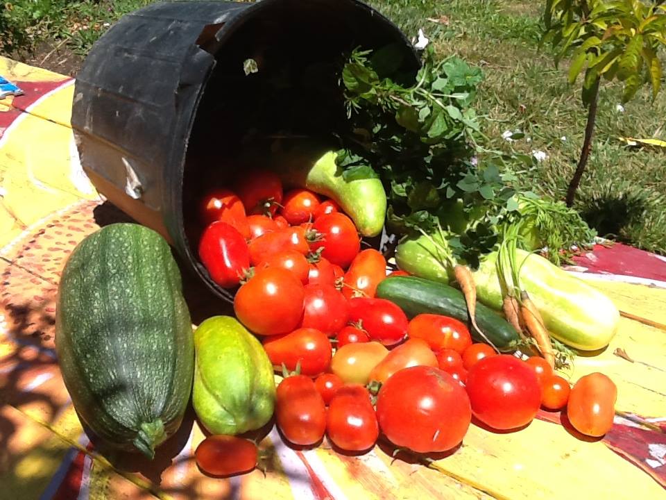 What is Organic Farming