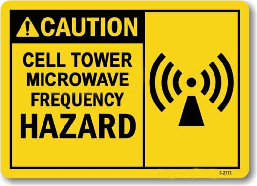 31 Scientists Have Determined That Cell Towers Could Contribute To An Increased Risk Of Brain Cancer