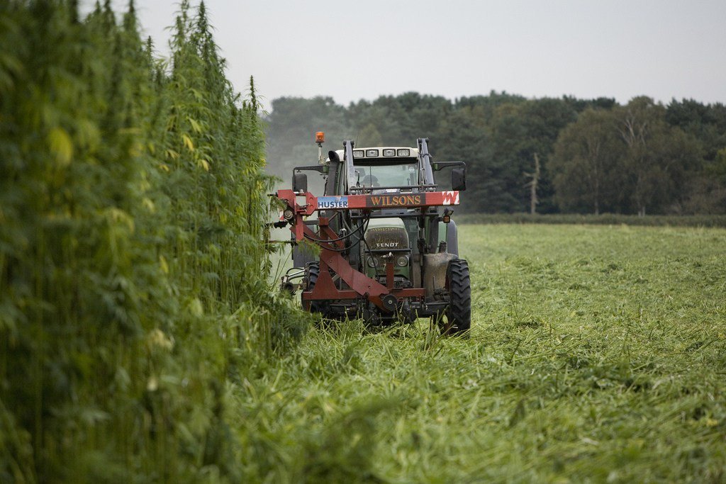 HB 122 Hemp Farming For Idaho