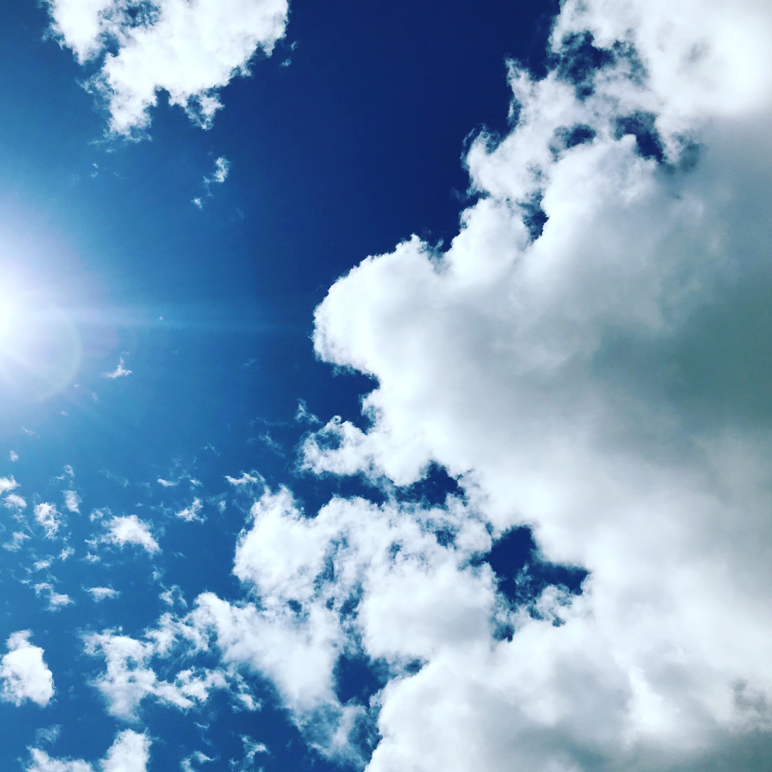 Concerned About COVID-19? Get Sunshine and Fresh Air