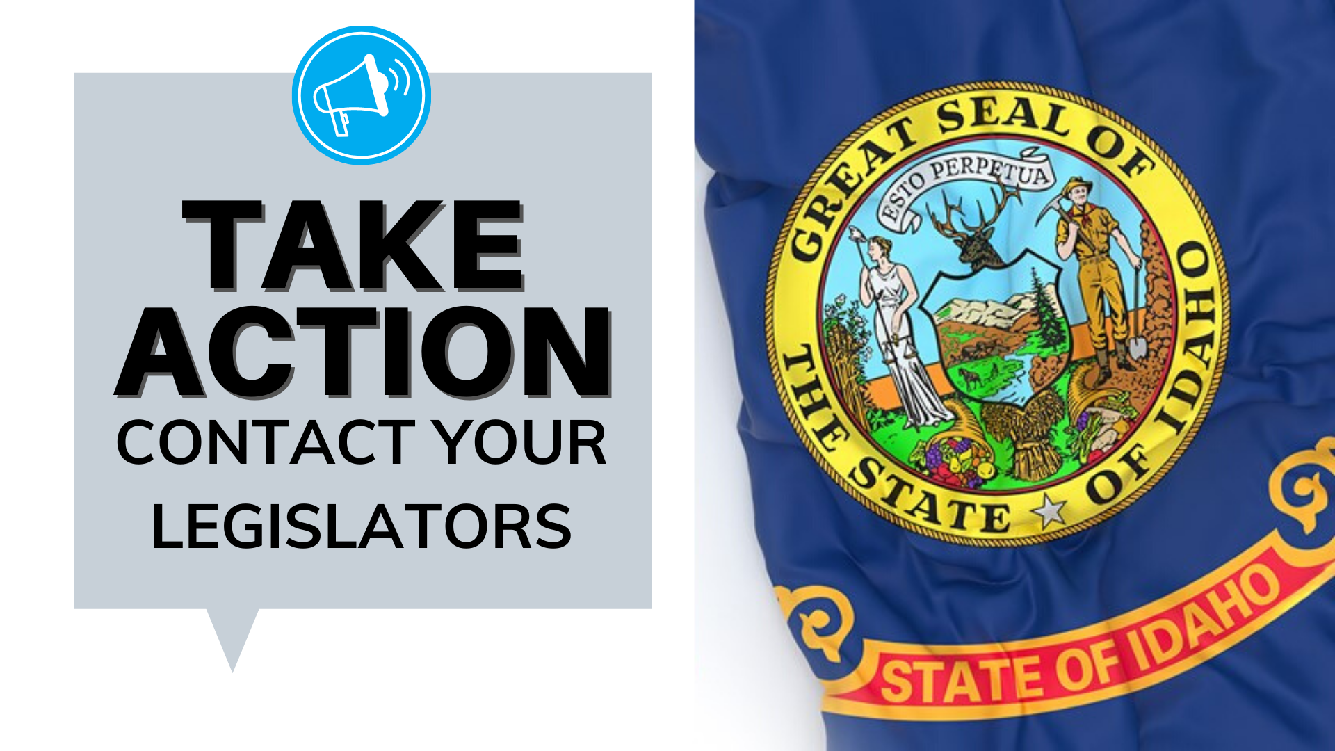 Governor Unconstitutionally Suspends Idaho Code – Elections