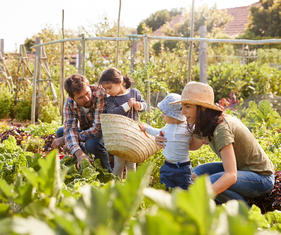 Pesticides and Harmful Side Effects